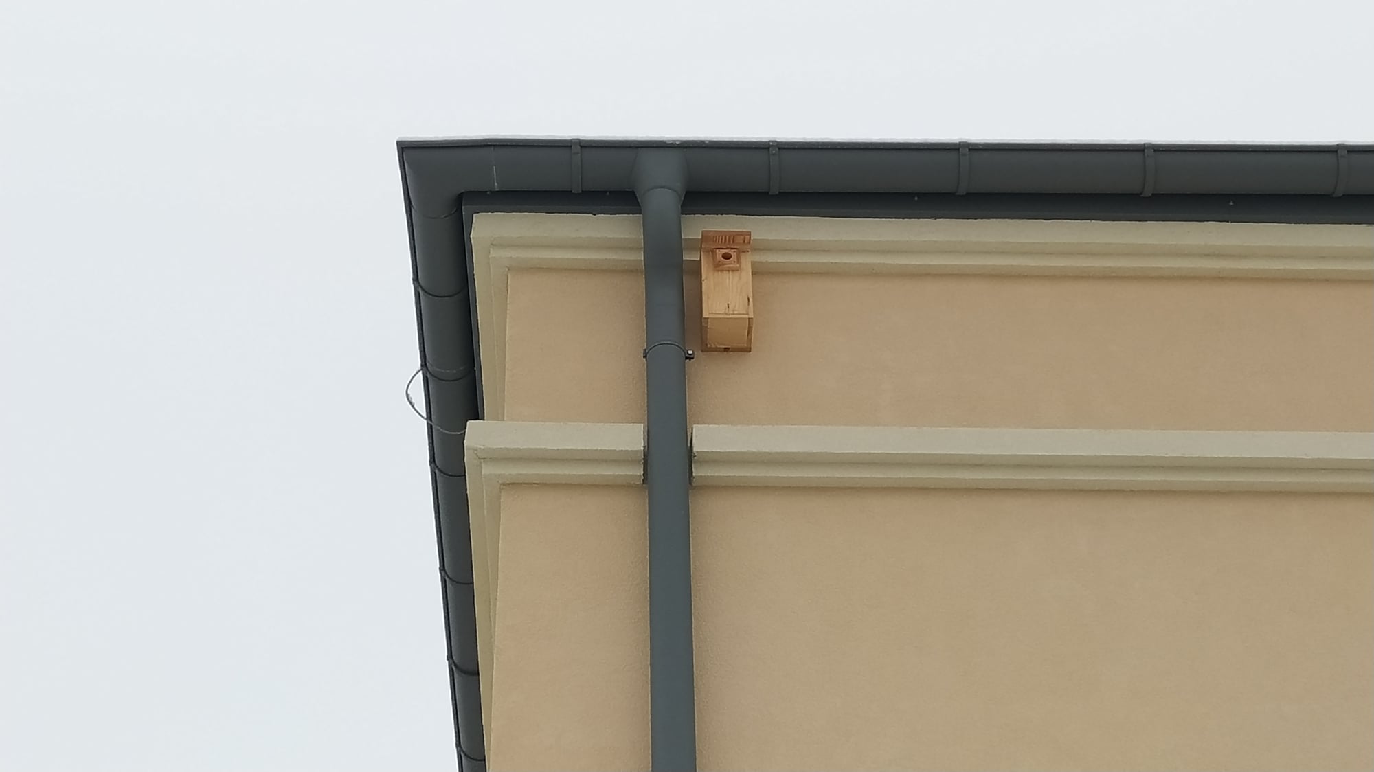 W budynku powstały mieszkania dla 12 rodzin. Jest też miejsce dla ptaków i nietoperzy (zdjęcia)