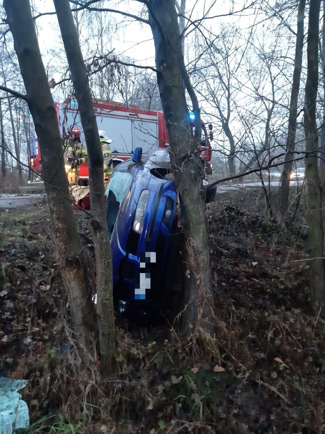 Seat wypadł z drogi i uderzył w drzewo. Pojazdem podróżowały trzy osoby (zdjęcia)