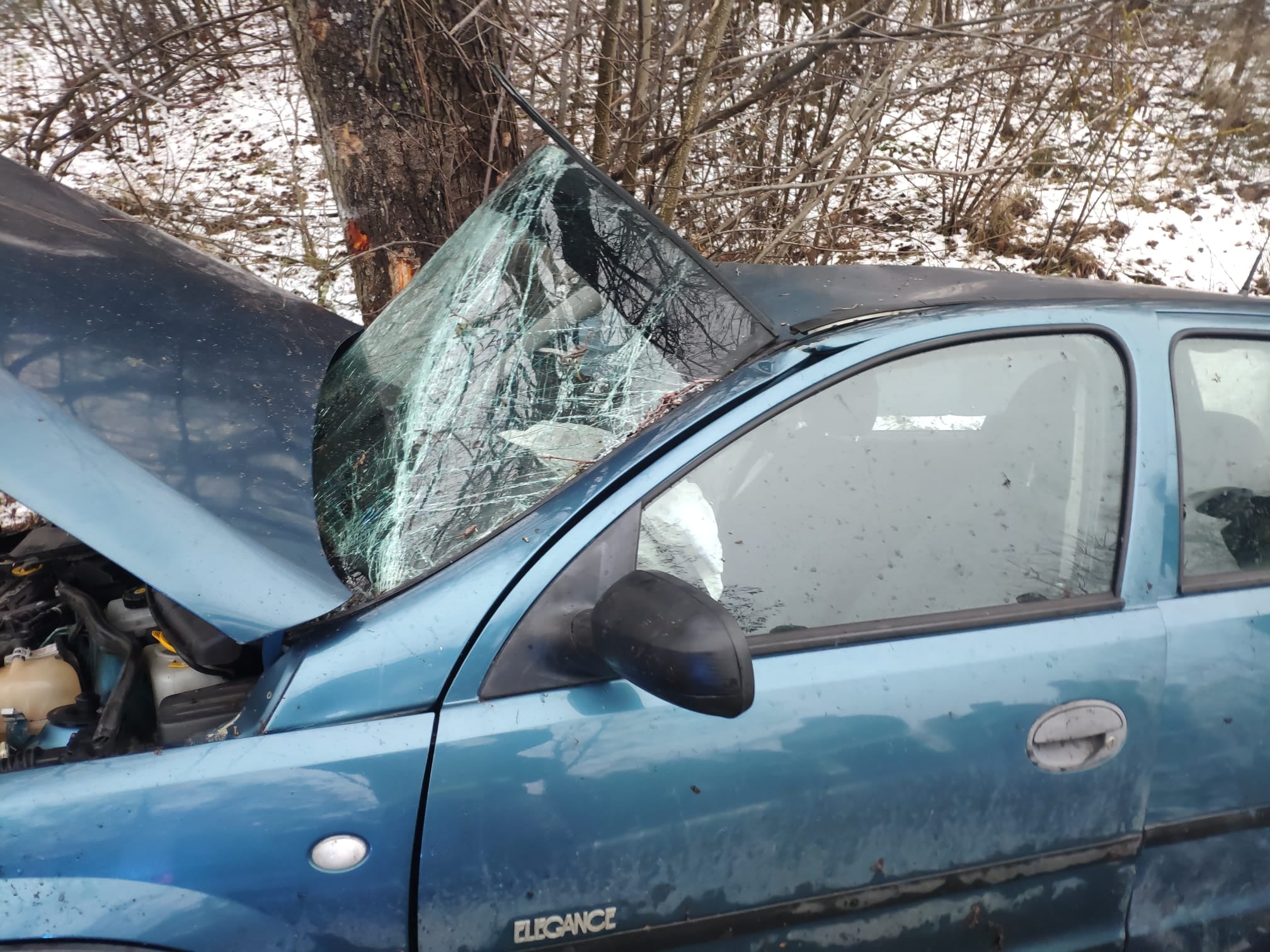 Opel wypadł z drogi i roztrzaskał się na drzewie (zdjęcia)