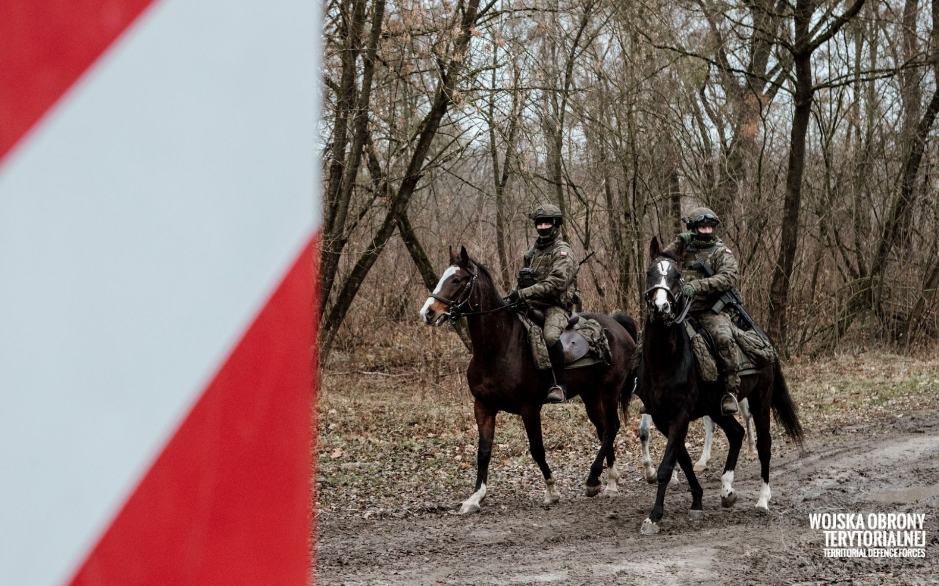 Lubelscy Terytorialsi prowadzą patrole konne na straży bezpiecznej granicy (zdjęcia)