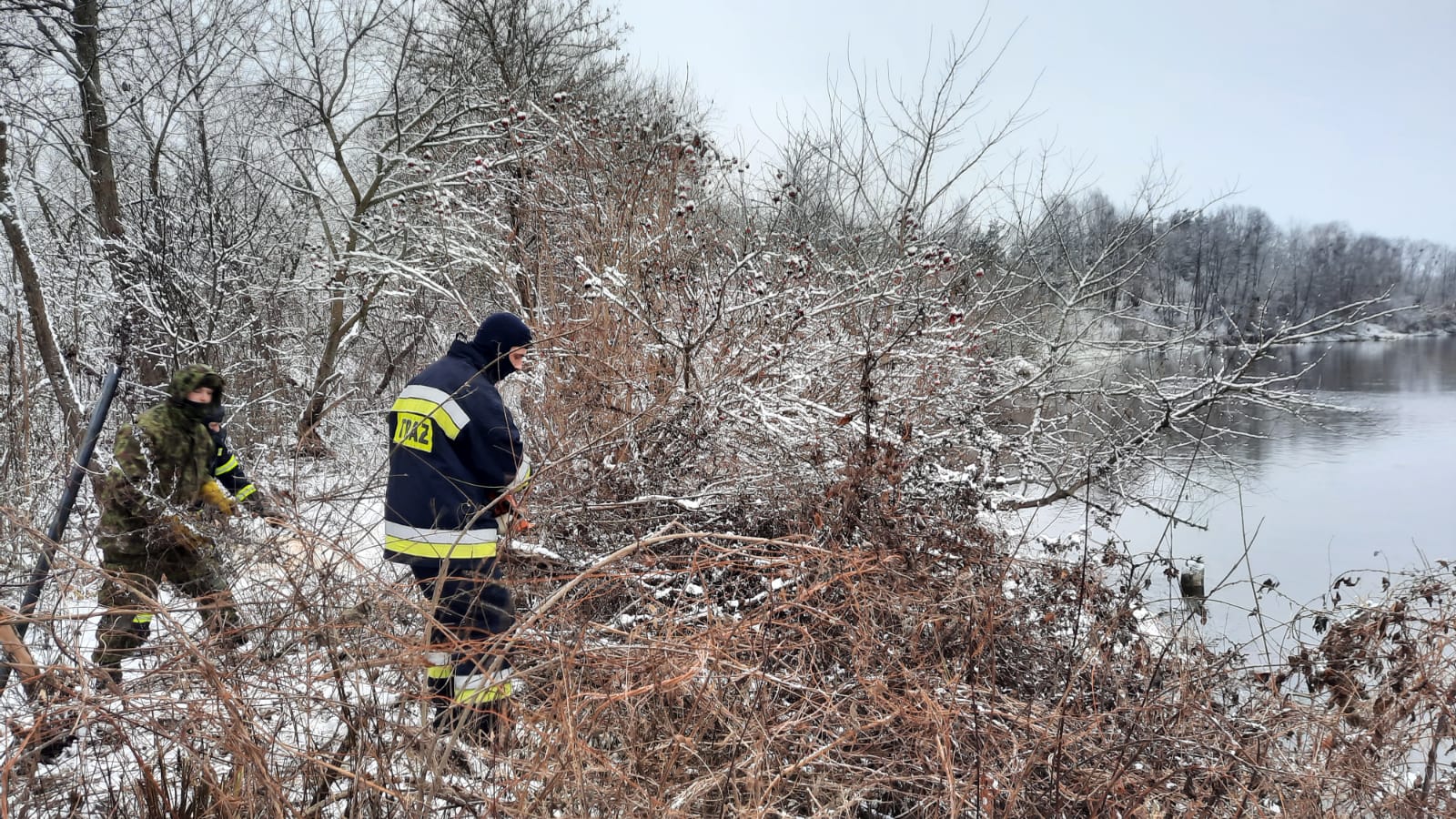 Działania straży pożarnej na granicy. Trwa usuwanie zakrzaczeń i konarów drzew (zdjęcia)