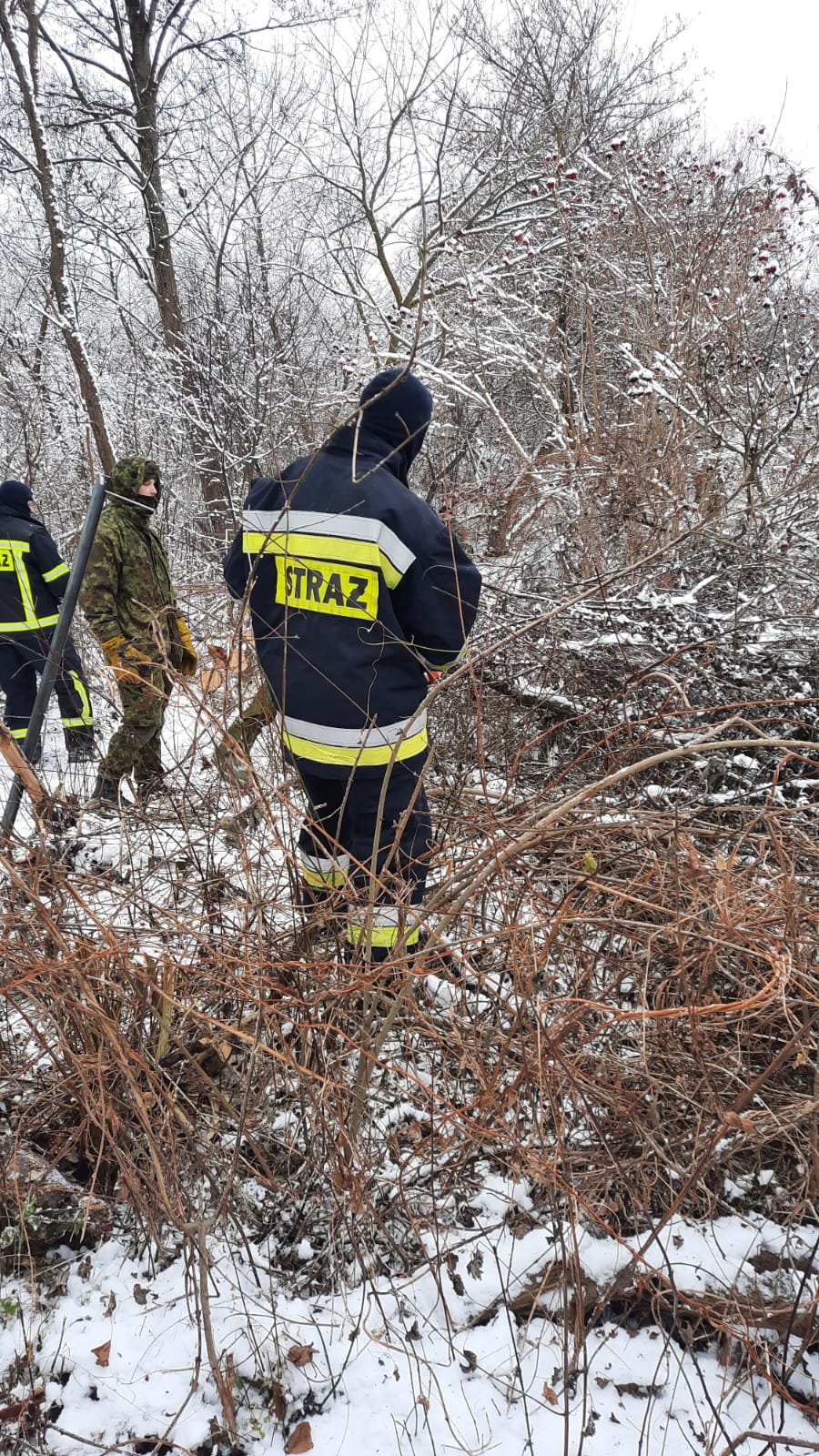 Działania straży pożarnej na granicy. Trwa usuwanie zakrzaczeń i konarów drzew (zdjęcia)