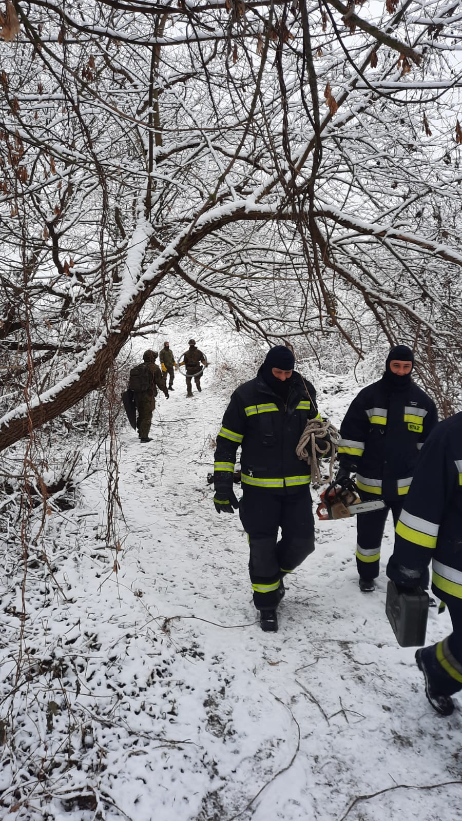 Działania straży pożarnej na granicy. Trwa usuwanie zakrzaczeń i konarów drzew (zdjęcia)