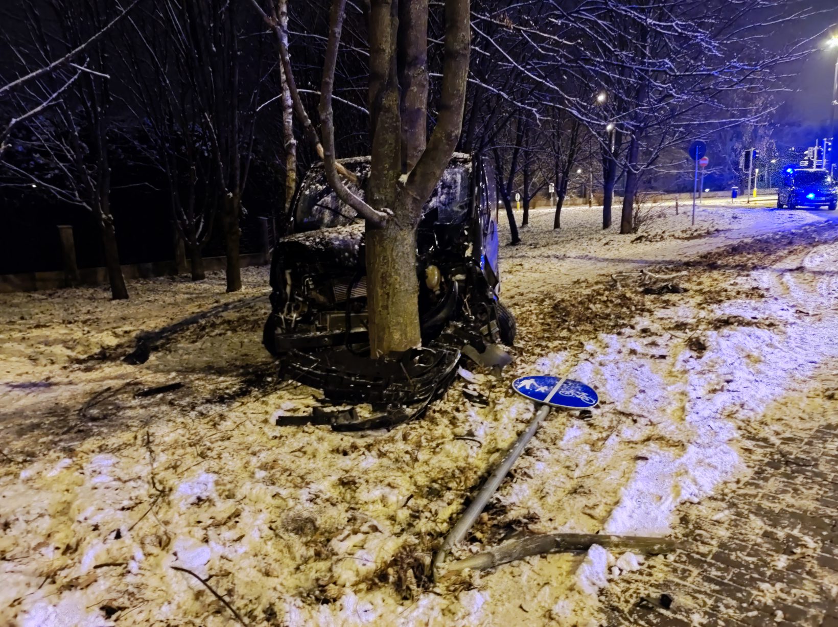 Opel uderzył w drzewo, w aucie był pijany mężczyzna. Zapewniał, że kierowca uciekł (zdjęcia)