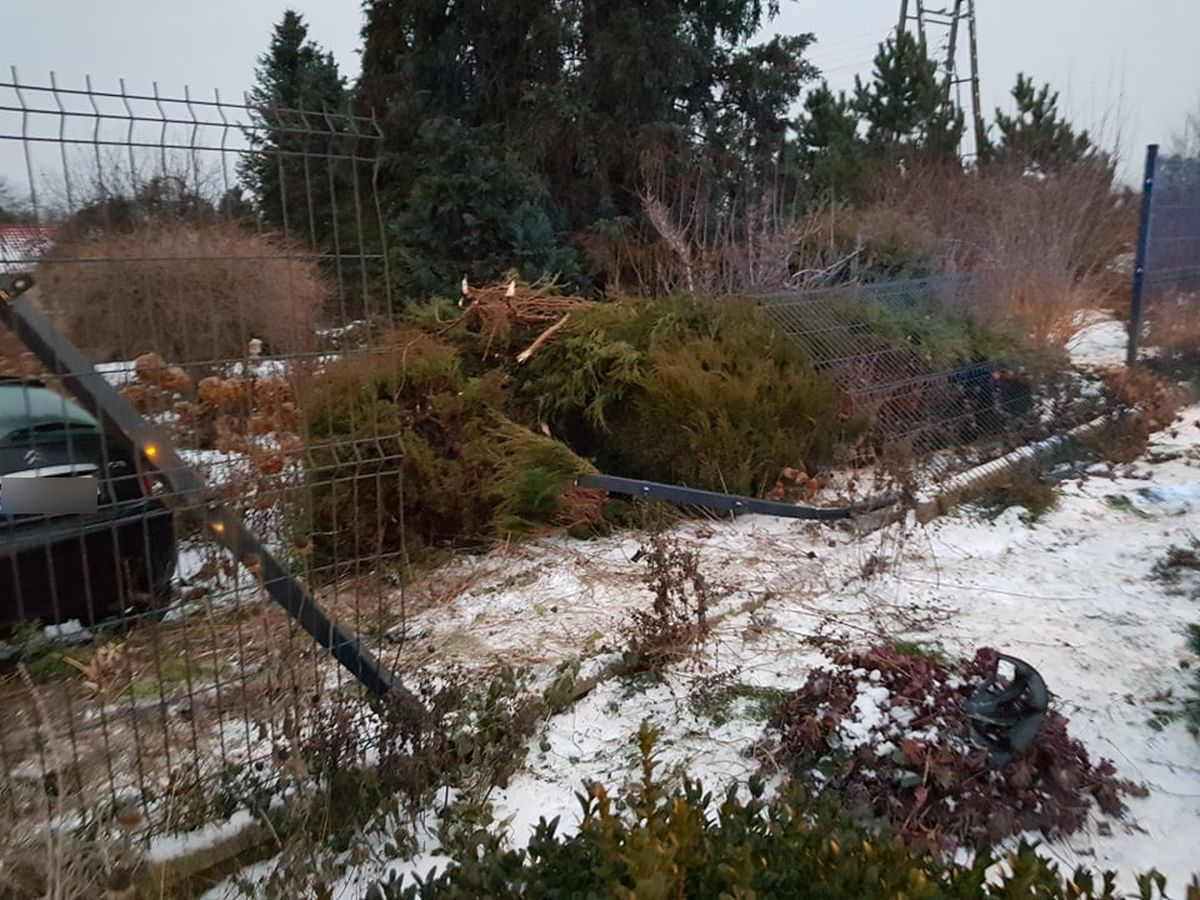 Citroen wypadł z drogi i staranował ogrodzenie posesji. Kierująca oddaliła się z miejsca zdarzenia (zdjęcia)
