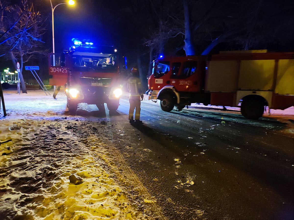 Kot wbiegł na jezdnię, zderzyły się dwa auta. Zwierzę zginęło na miejscu (zdjęcia)