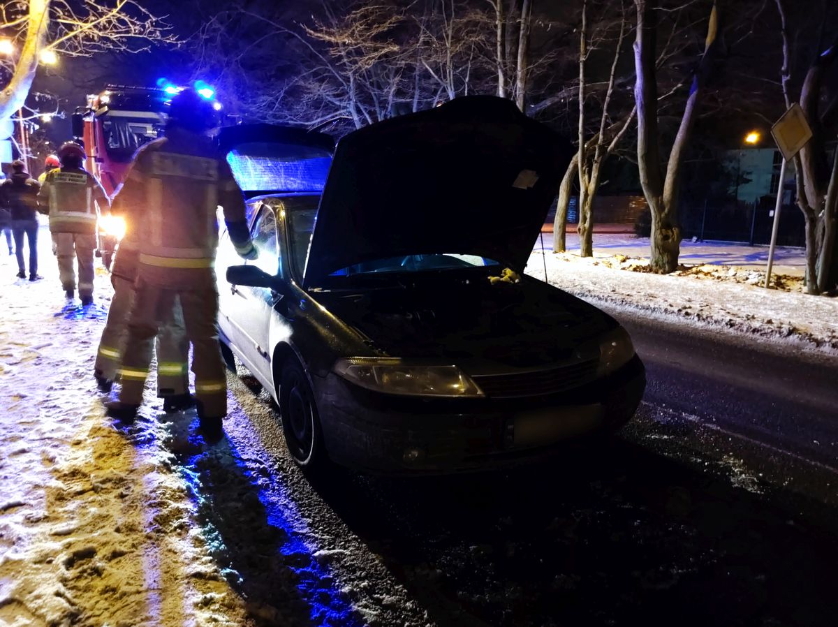 Kot wbiegł na jezdnię, zderzyły się dwa auta. Zwierzę zginęło na miejscu (zdjęcia)