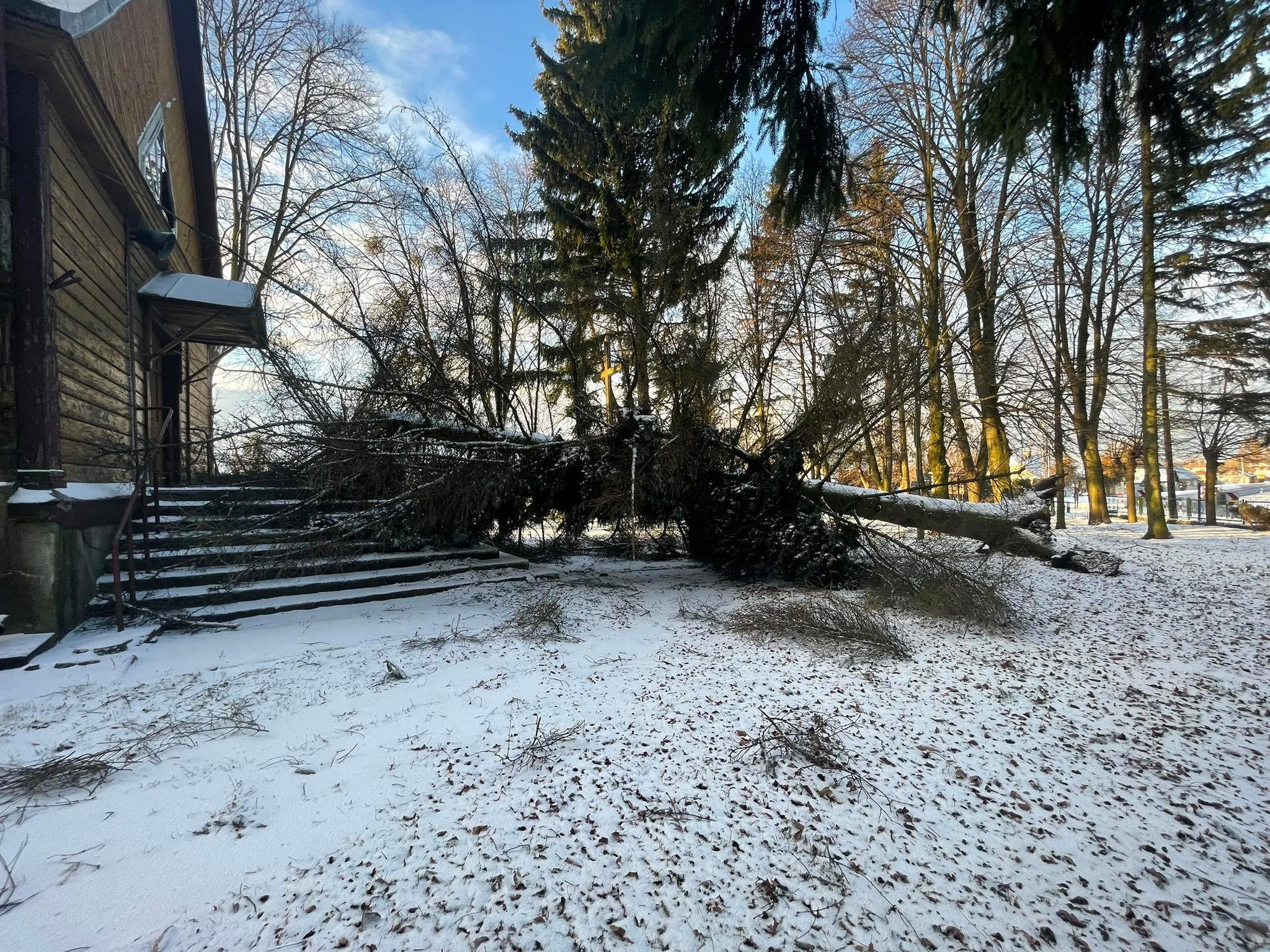Połamane drzewa, uszkodzone dachy. Interwencje strażaków na terenie powiatu hrubieszowskiego (zdjęcia)