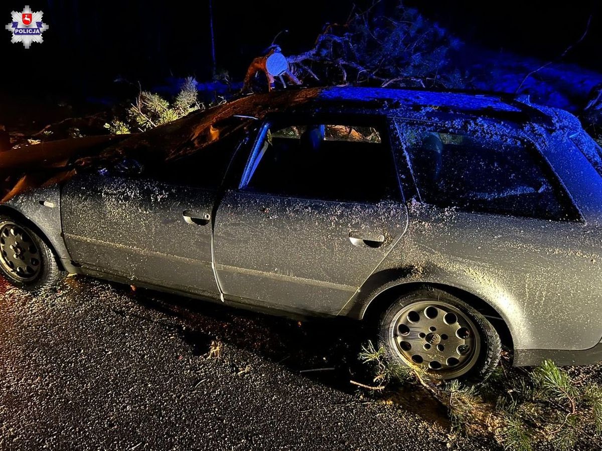 Dostrzegł leżące na jezdni drzewo. Nie miał już szans, aby zatrzymać auto (zdjęcia)