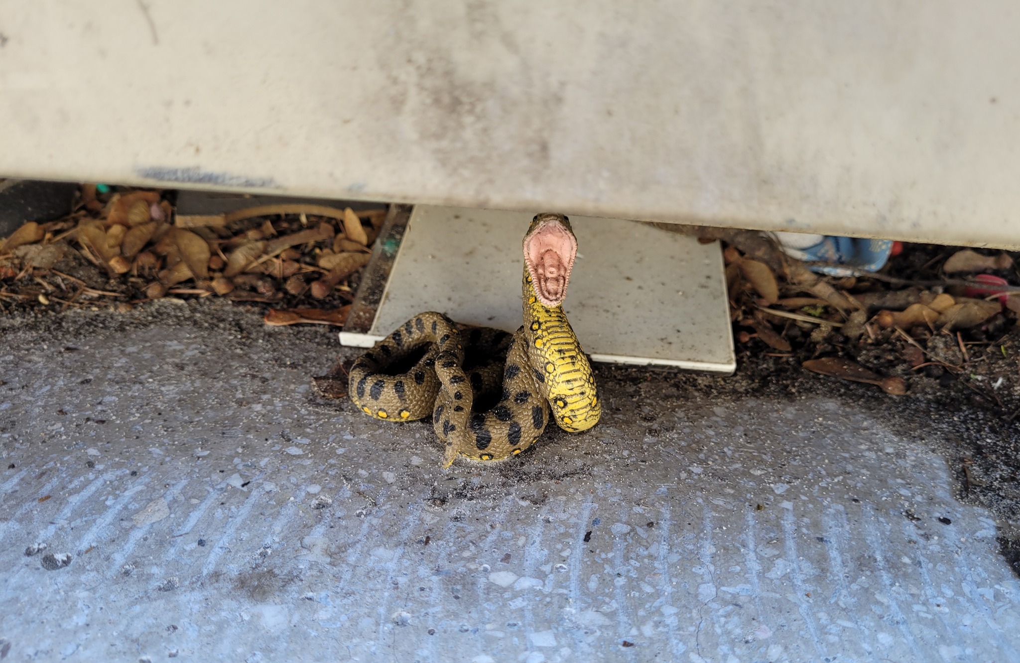 Mieszkańców przeraził „egzotyczny wąż” siedzący pod kontenerem. Gad okazał się zabawką (zdjęcia)