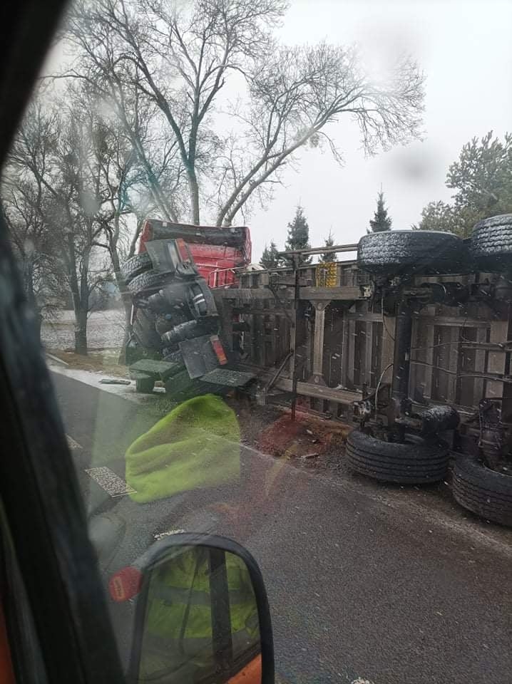 Pojazd ciężarowy przewrócił się, z naczepy wysypało się zboże (zdjęcia)