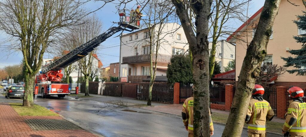 Kilkadziesiąt interwencji straży pożarnej na terenie Lublina i powiatu lubelskiego (zdjęcia)
