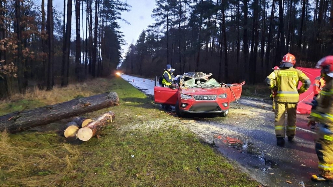 Strażacy usuwają skutki silnego wiatru. Już ponad 3200 interwencji w całym kraju (zdjęcia)