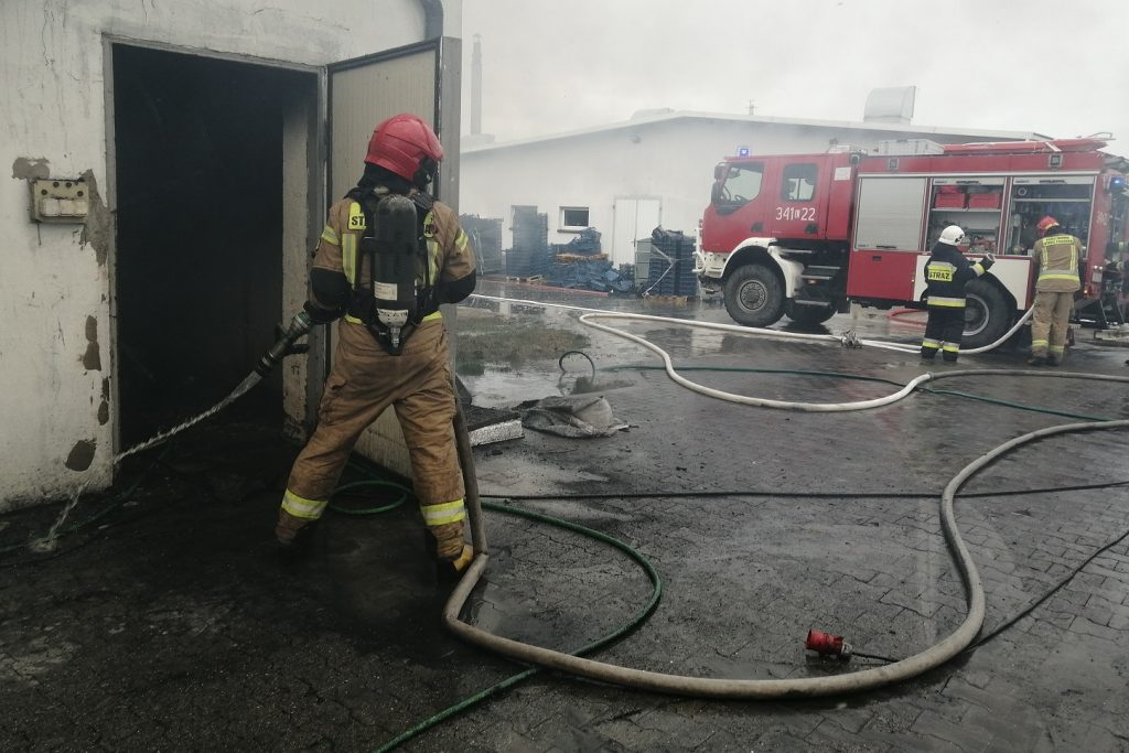 Kilkanaście zastępów straży pożarnej walczyło z pożarem pieczarkarni (zdjęcia)