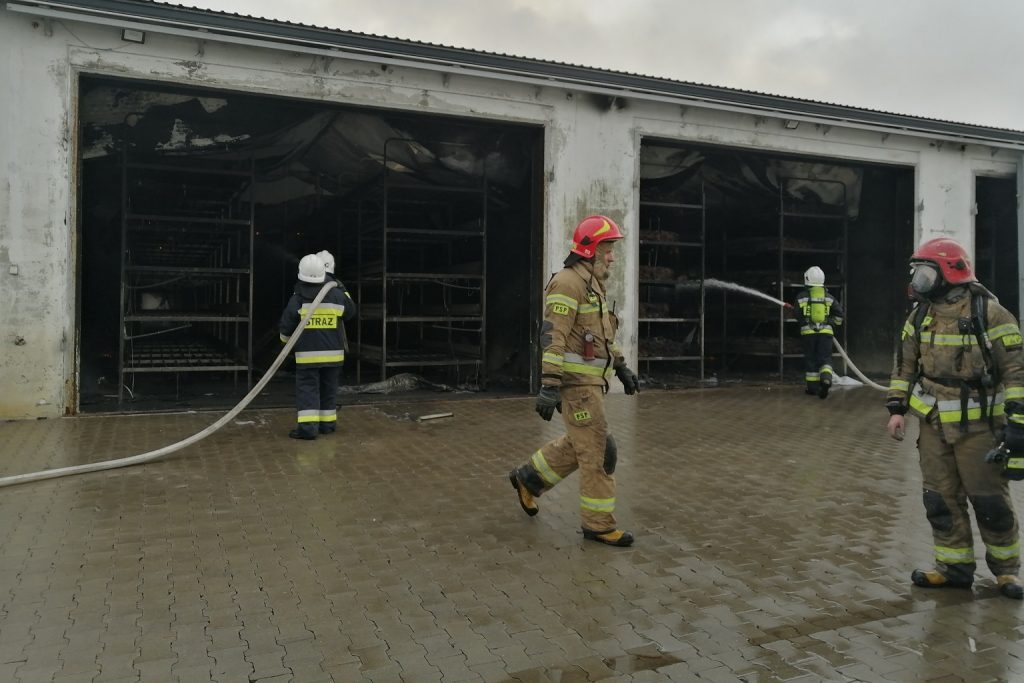 Kilkanaście zastępów straży pożarnej walczyło z pożarem pieczarkarni (zdjęcia)
