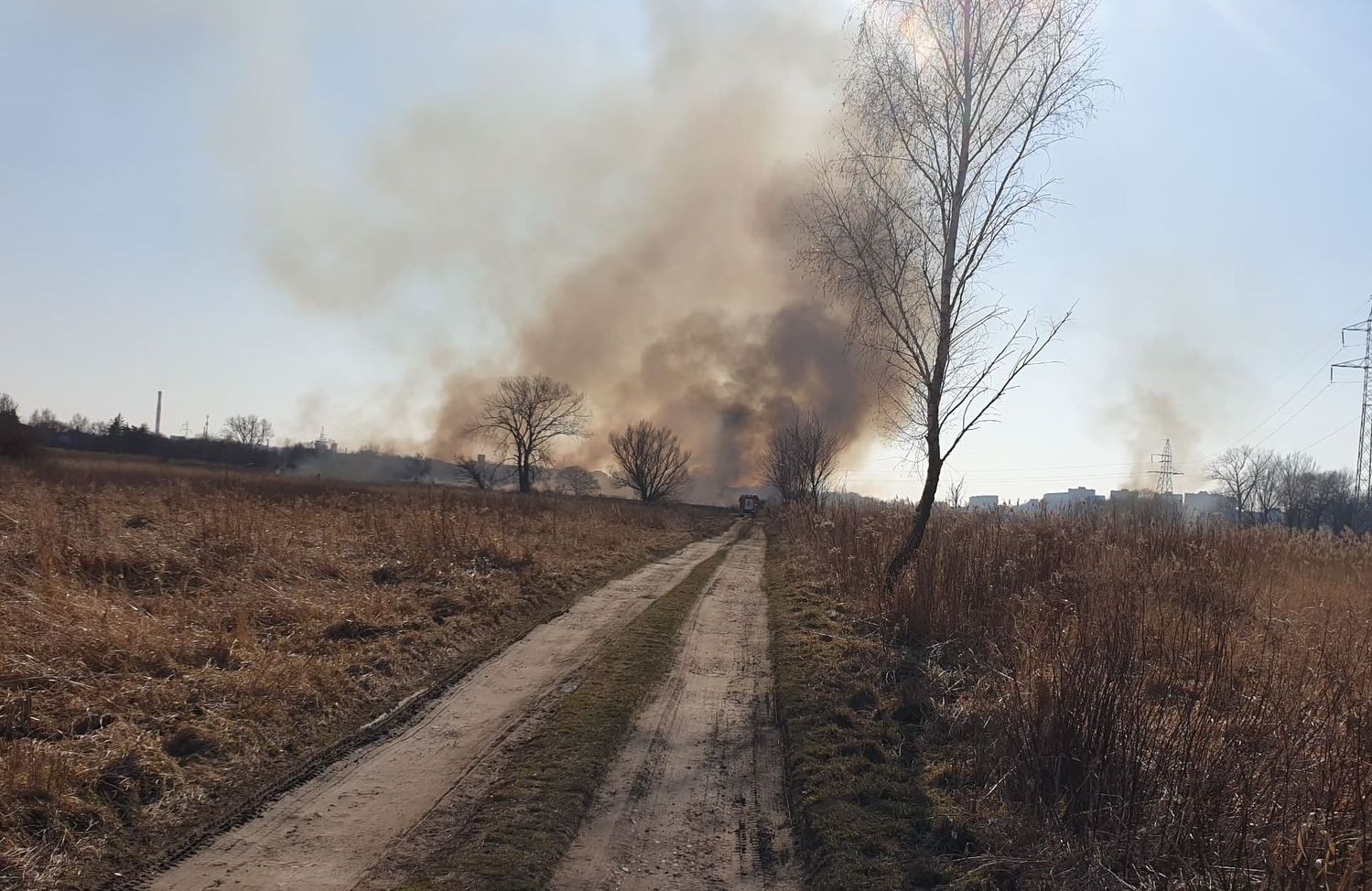 Płoną łąki nad Bystrzycą. Dym widoczny jest prawie z całego Lublina (zdjęcia)