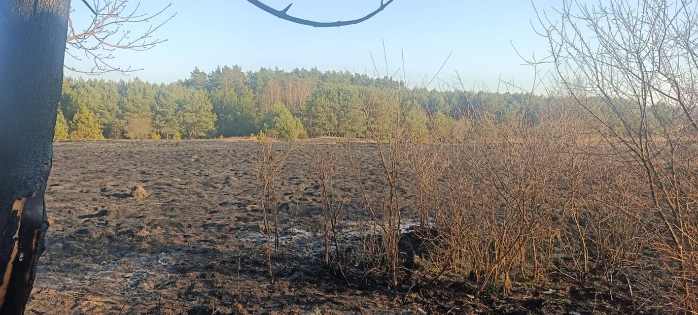 Podpalił trawę i szybko tego pożałował. Ogień objął budynki i stodołę sąsiada (zdjęcia)