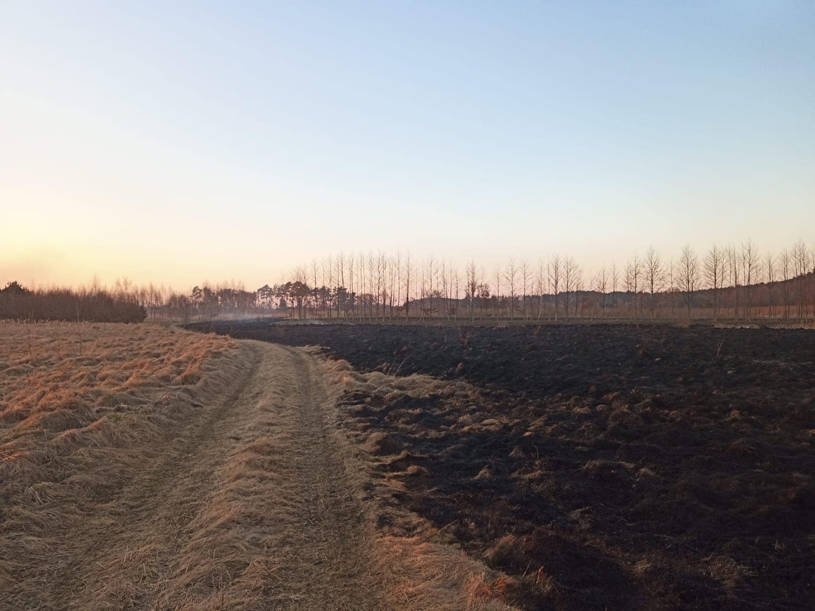 Coraz więcej pożarów traw w regionie. Strażacy interweniowali na terenie kilku powiatów (zdjęcia)
