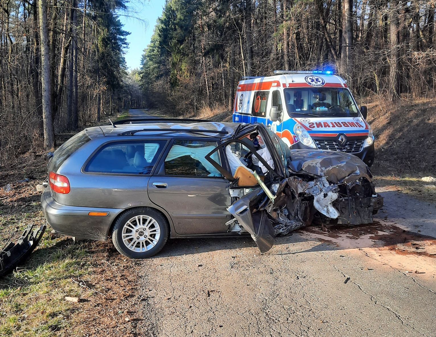 Volvo z impetem uderzyło w drzewo. Kierowca prawdopodobnie zasłabł w trakcie jazdy (zdjęcia)