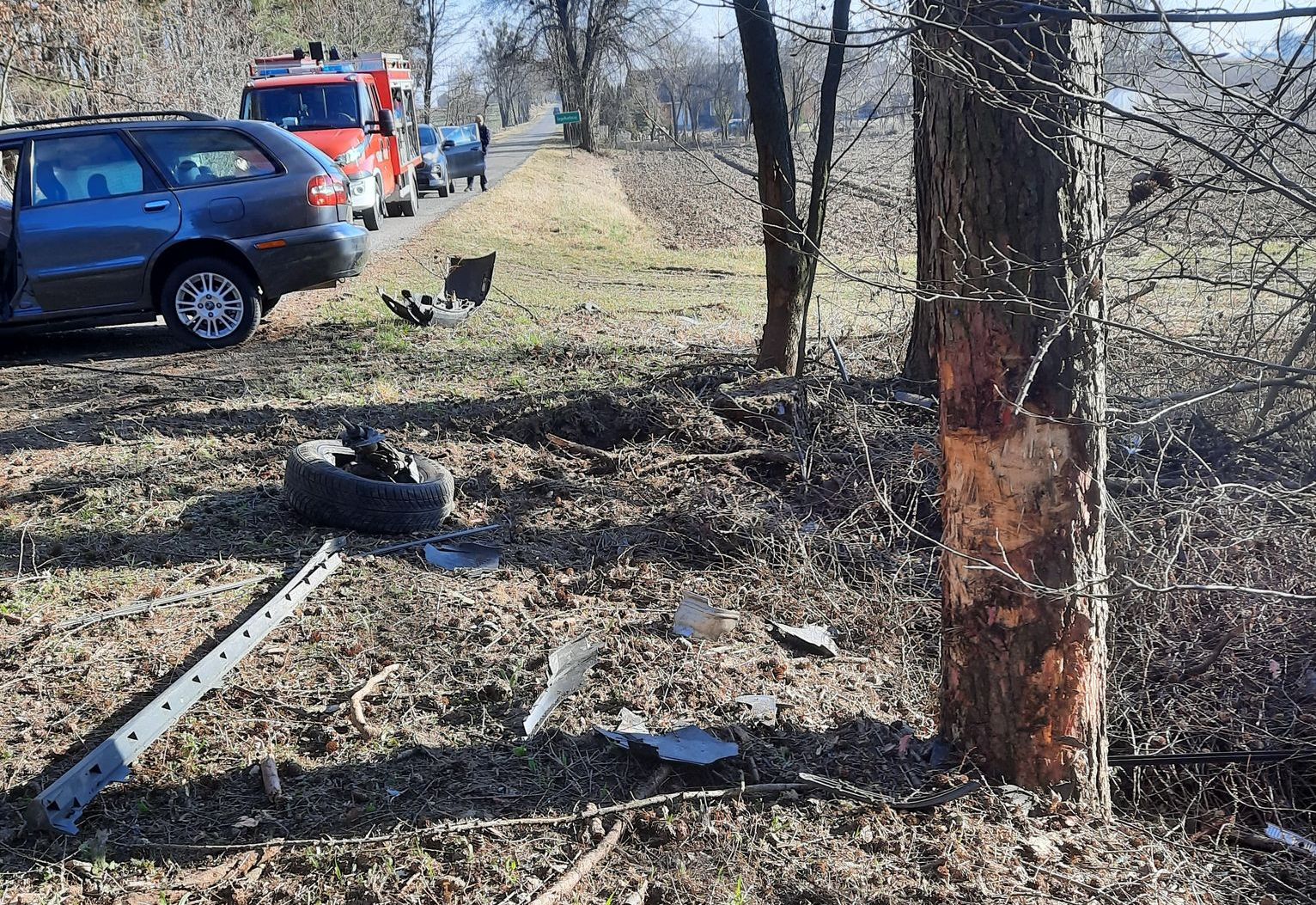 Volvo z impetem uderzyło w drzewo. Kierowca prawdopodobnie zasłabł w trakcie jazdy (zdjęcia)