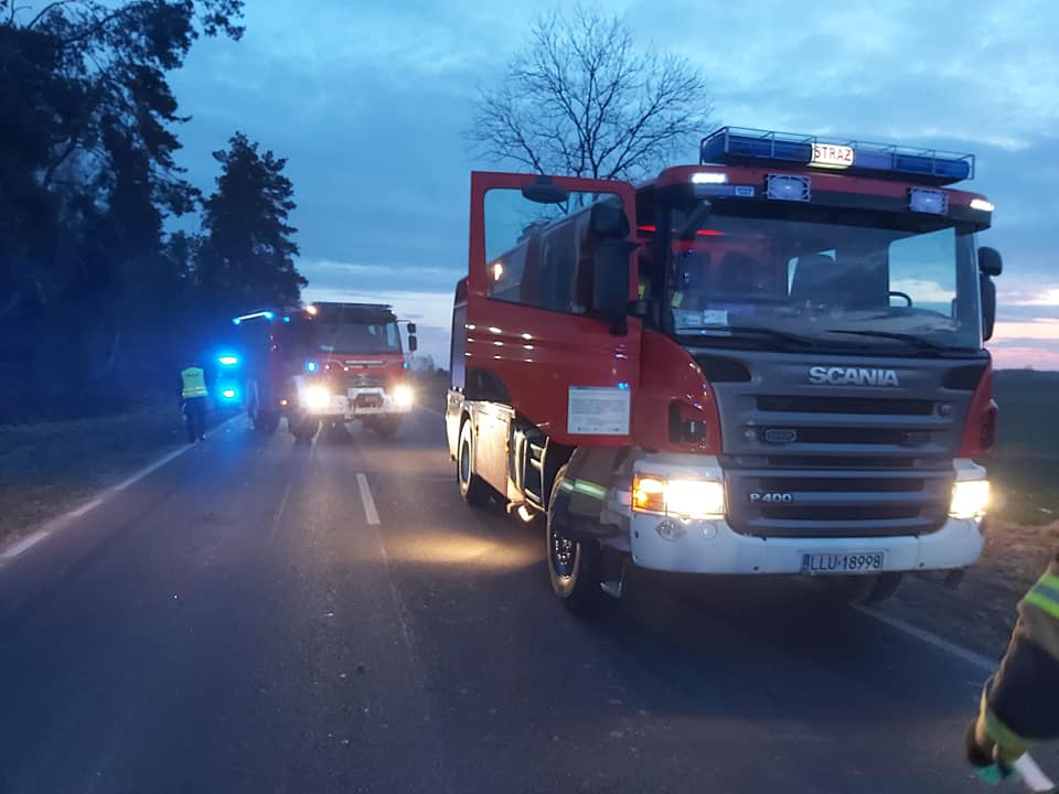 Zderzenie pojazdu dostawczego z jeleniem. Jedna osoba trafiła do szpitala (zdjęcia)