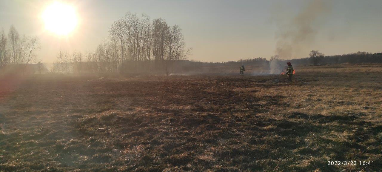 Ogień strawił 3 ha łąk i 2 ha lasu. Przez czyjąś bezmyślność (zdjęcia)
