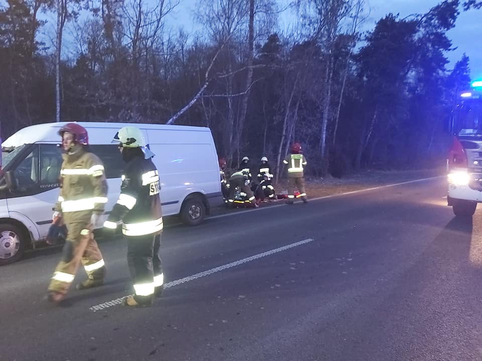 Zderzenie pojazdu dostawczego z jeleniem. Jedna osoba trafiła do szpitala (zdjęcia)