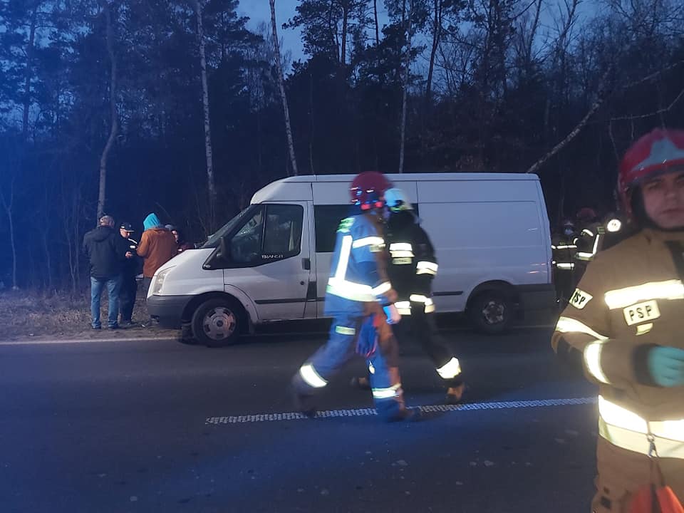 Zderzenie pojazdu dostawczego z jeleniem. Jedna osoba trafiła do szpitala (zdjęcia)