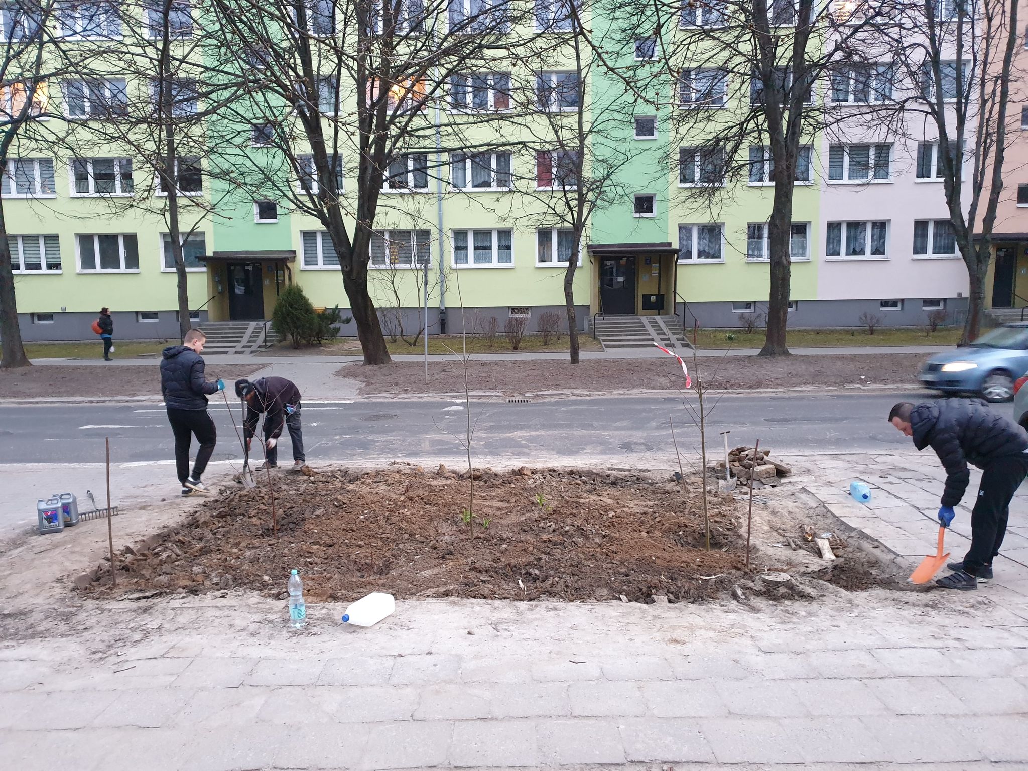 Kolejna „partyzancka” akcja miłośników zieleni w Lublinie. Obsadzili klepisko jesionami i dereniami (zdjęcia, wideo)