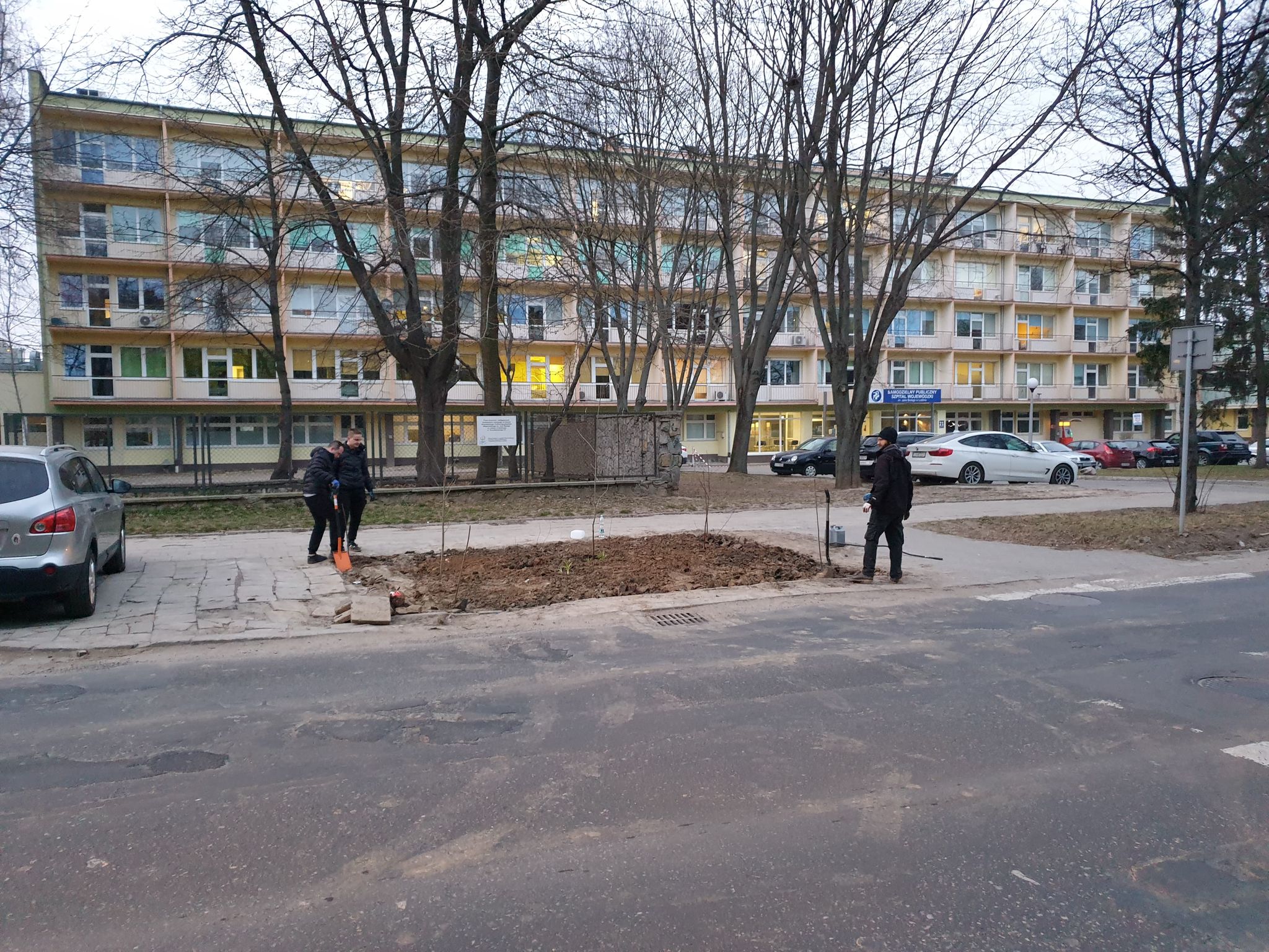 Kolejna „partyzancka” akcja miłośników zieleni w Lublinie. Obsadzili klepisko jesionami i dereniami (zdjęcia, wideo)