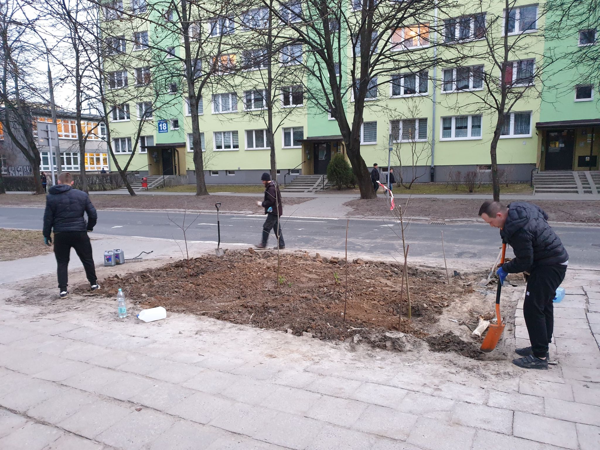 Kolejna „partyzancka” akcja miłośników zieleni w Lublinie. Obsadzili klepisko jesionami i dereniami (zdjęcia, wideo)