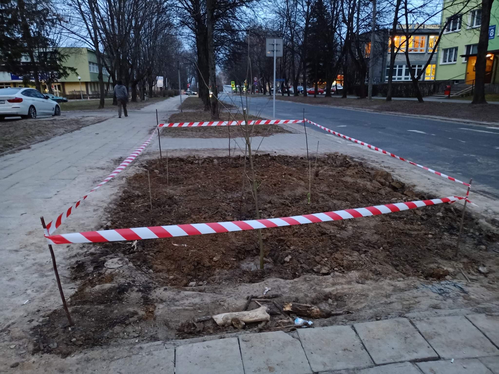Kolejna „partyzancka” akcja miłośników zieleni w Lublinie. Obsadzili klepisko jesionami i dereniami (zdjęcia, wideo)