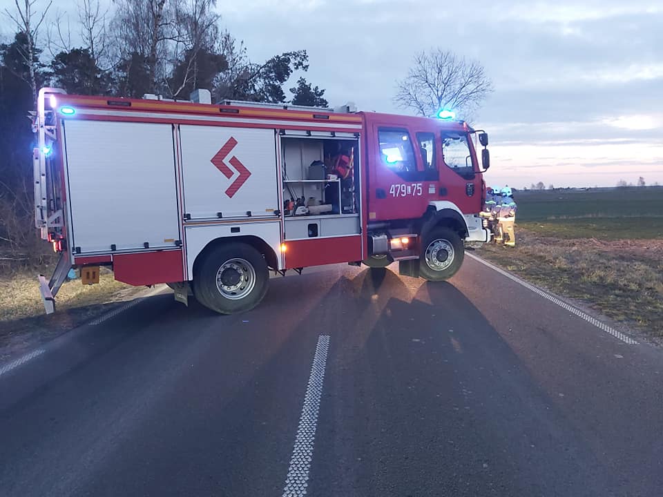 Zderzenie pojazdu dostawczego z jeleniem. Jedna osoba trafiła do szpitala (zdjęcia)