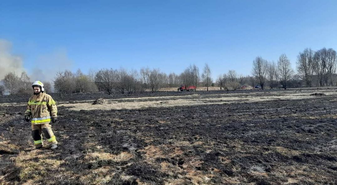 Ogromny, nocy pożar traw w powiecie tomaszowskim. Z ogniem walczyło dziesięć zastępów straży pożarnej (zdjęcia, wideo)