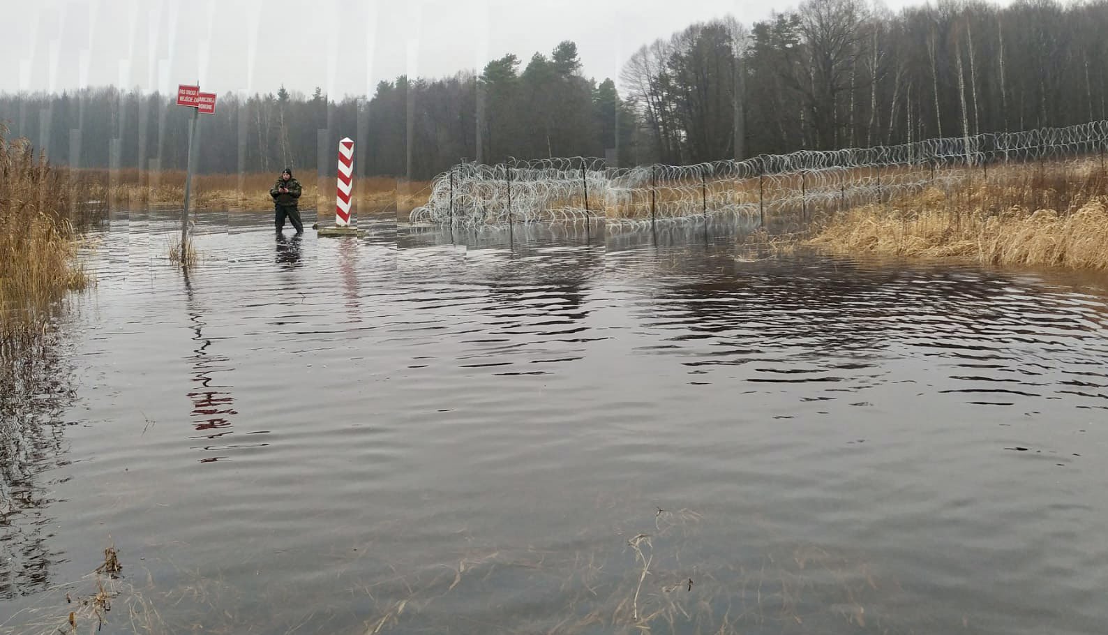 Od początku wojny w Ukrainie do Polski przyjechało niemal 800 tys. uchodźców