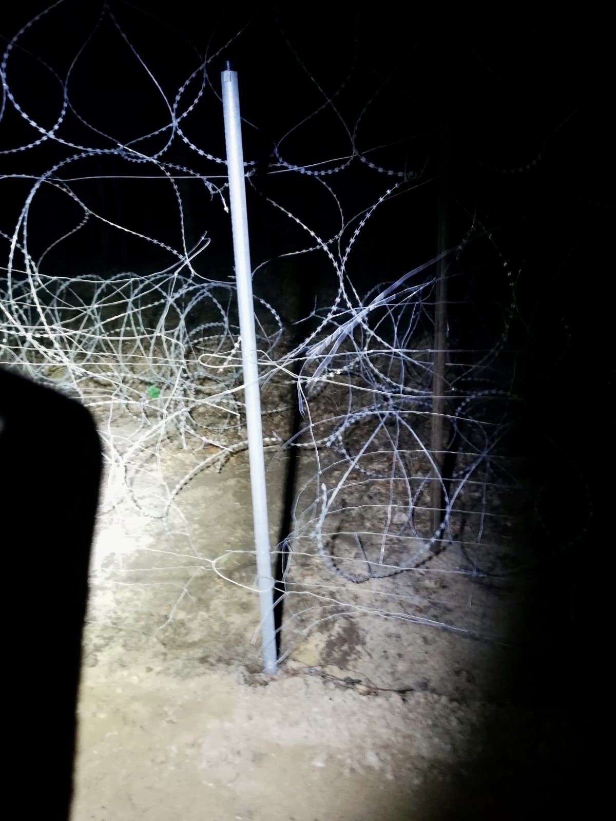 99 cudzoziemców próbowało nielegalnie przekroczyć polsko–białoruską granicę. Nie ustają ataki na polskie służby (zdjęcia)