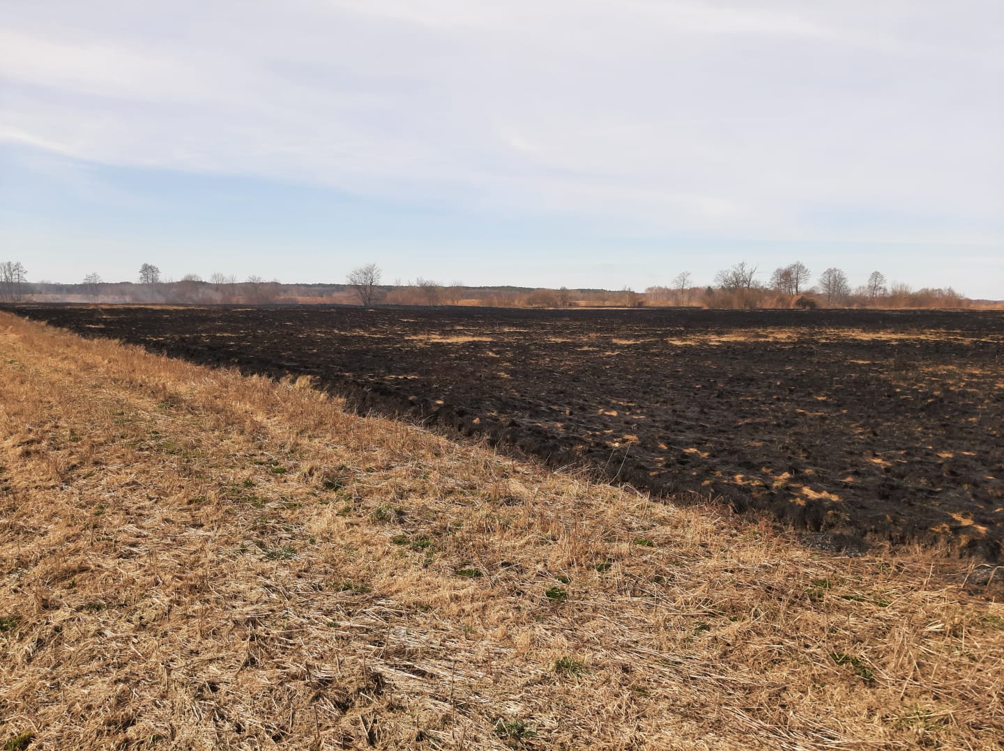 Ponad 95% wszystkich pożarów w ostatnim czasie w powiecie lubartowskim to pożary traw (zdjęcia)
