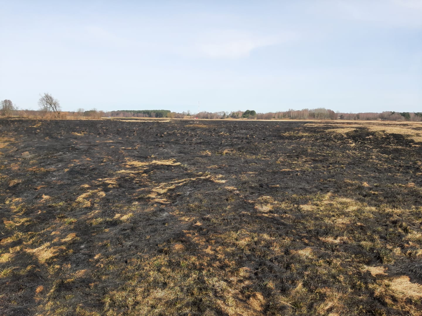 Ponad 95% wszystkich pożarów w ostatnim czasie w powiecie lubartowskim to pożary traw (zdjęcia)