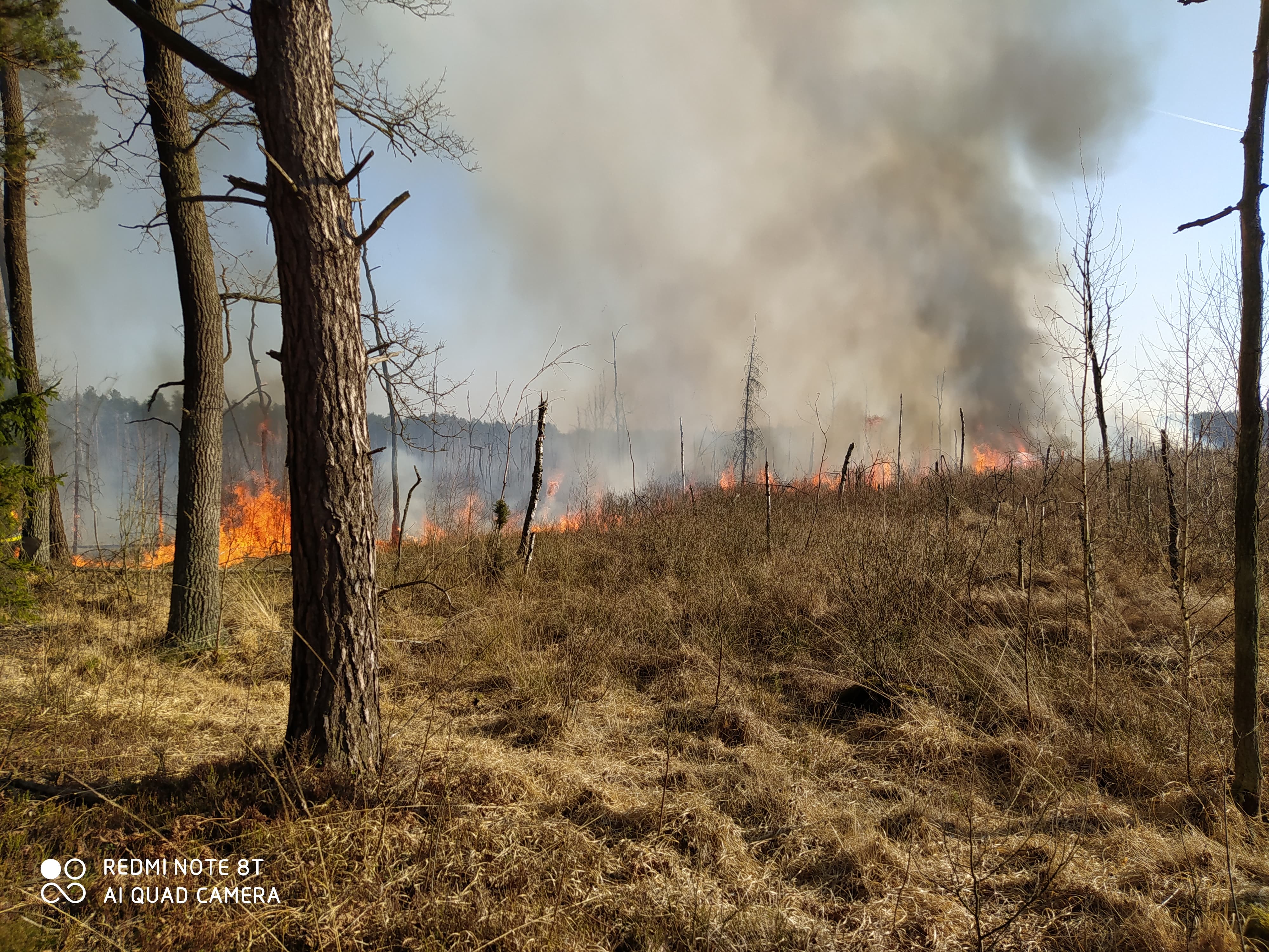 W lubelskich lasach rozpoczął się sezon monitoringu zagrożenia pożarowego (zdjęcia)