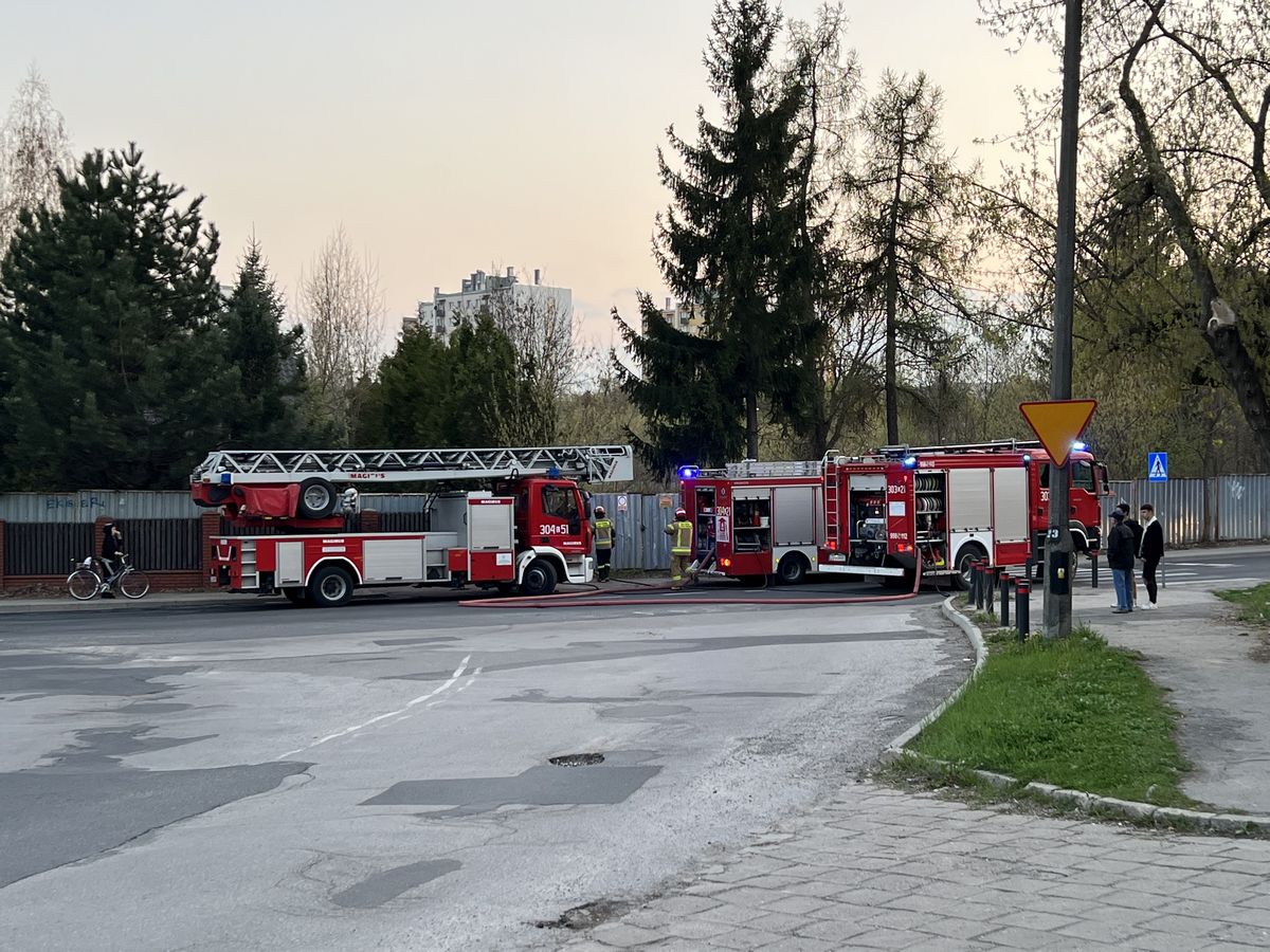 W płomieniach stanął dach budynku, zapaliły się również tuje. Wszystko wskazuje na podpalenie (zdjęcia)