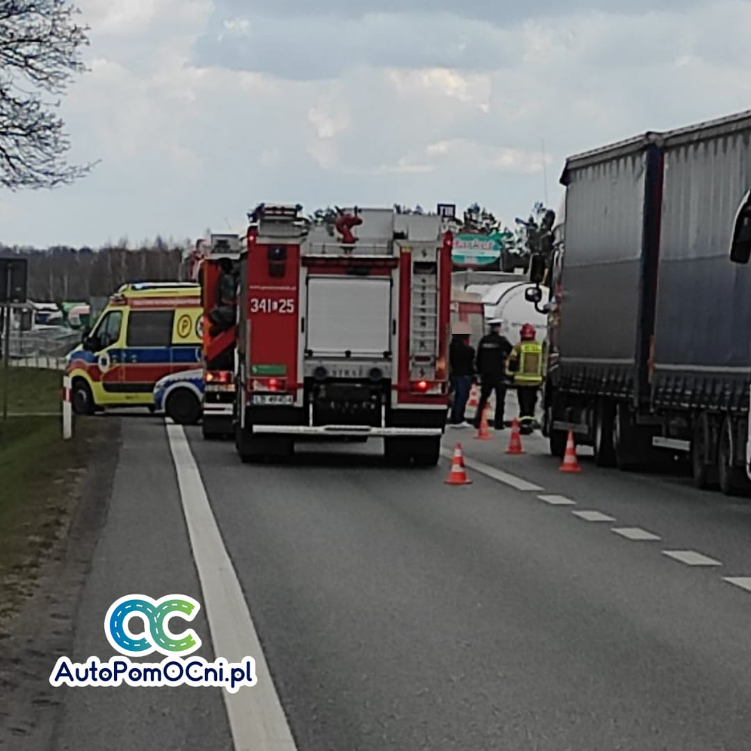 Wypadek na drodze krajowej nr 2. Utrudnienia w ruchu na trasie Biała Podlaska – Terespol (zdjęcia)