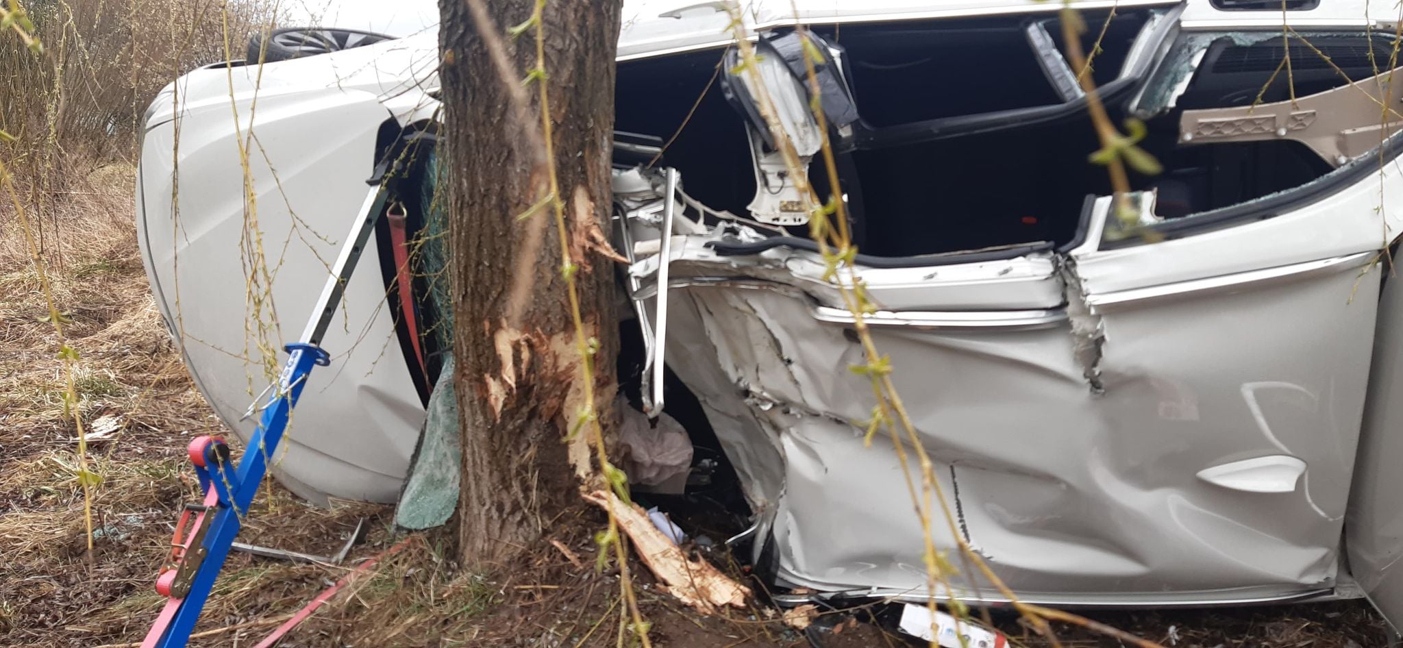 BMW wypadło z drogi i uderzyło w drzewo. Kierowca był zakleszczony w pojeździe (zdjęcia)