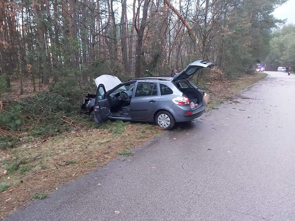 Jadąc przez las straciła panowanie nad pojazdem. Auto wpadło z drogi (zdjęcia)