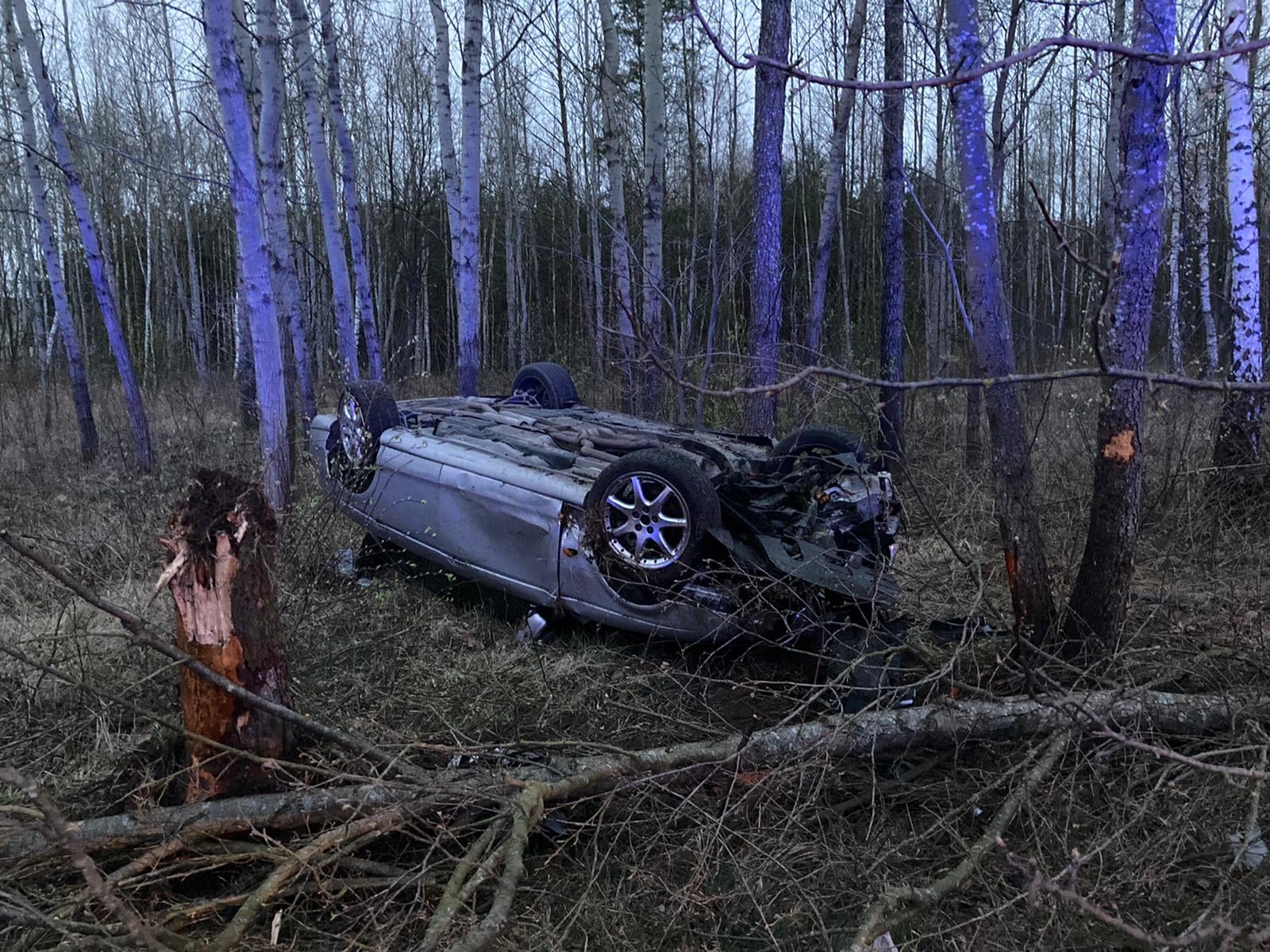 Chciał się pochwalić jaguarem, przejażdżkę zakończył dachowaniem. Miał prawie 4 promile (zdjęcia)