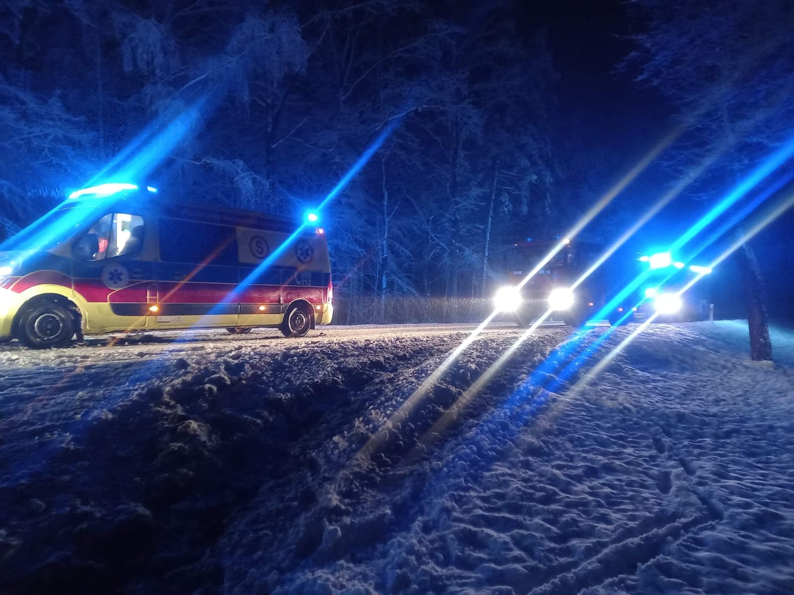 Pojazd dostawczy wypadł z drogi i uderzył w drzewo (zdjęcia)