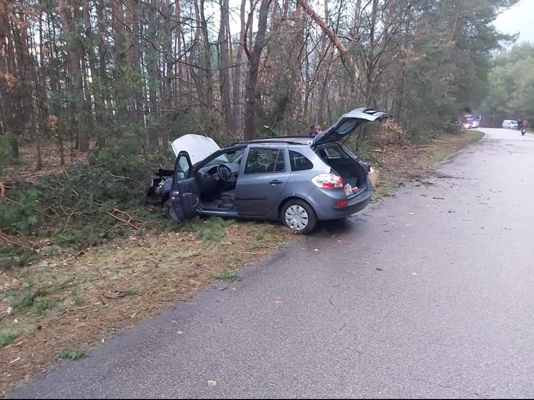 Jadąc przez las straciła panowanie nad pojazdem. Auto wpadło z drogi (zdjęcia)