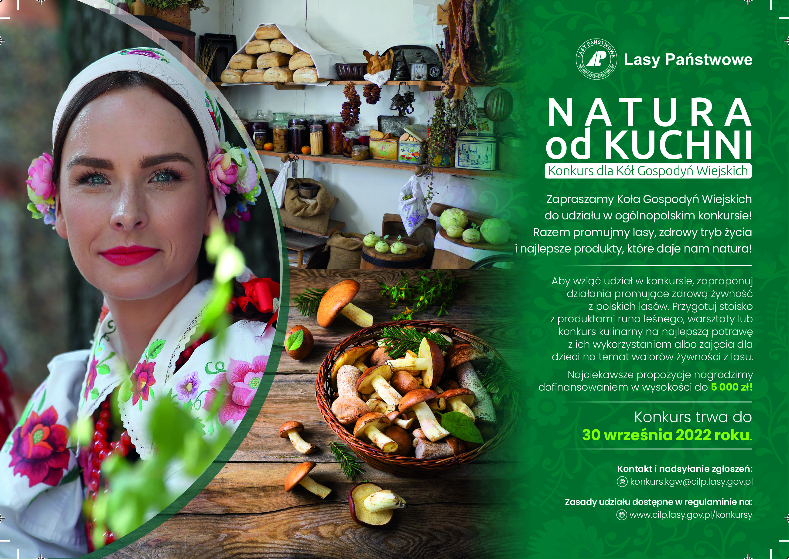 Koła Gospodyń Wiejskich promują zdrową żywność z polskich lasów (wideo)