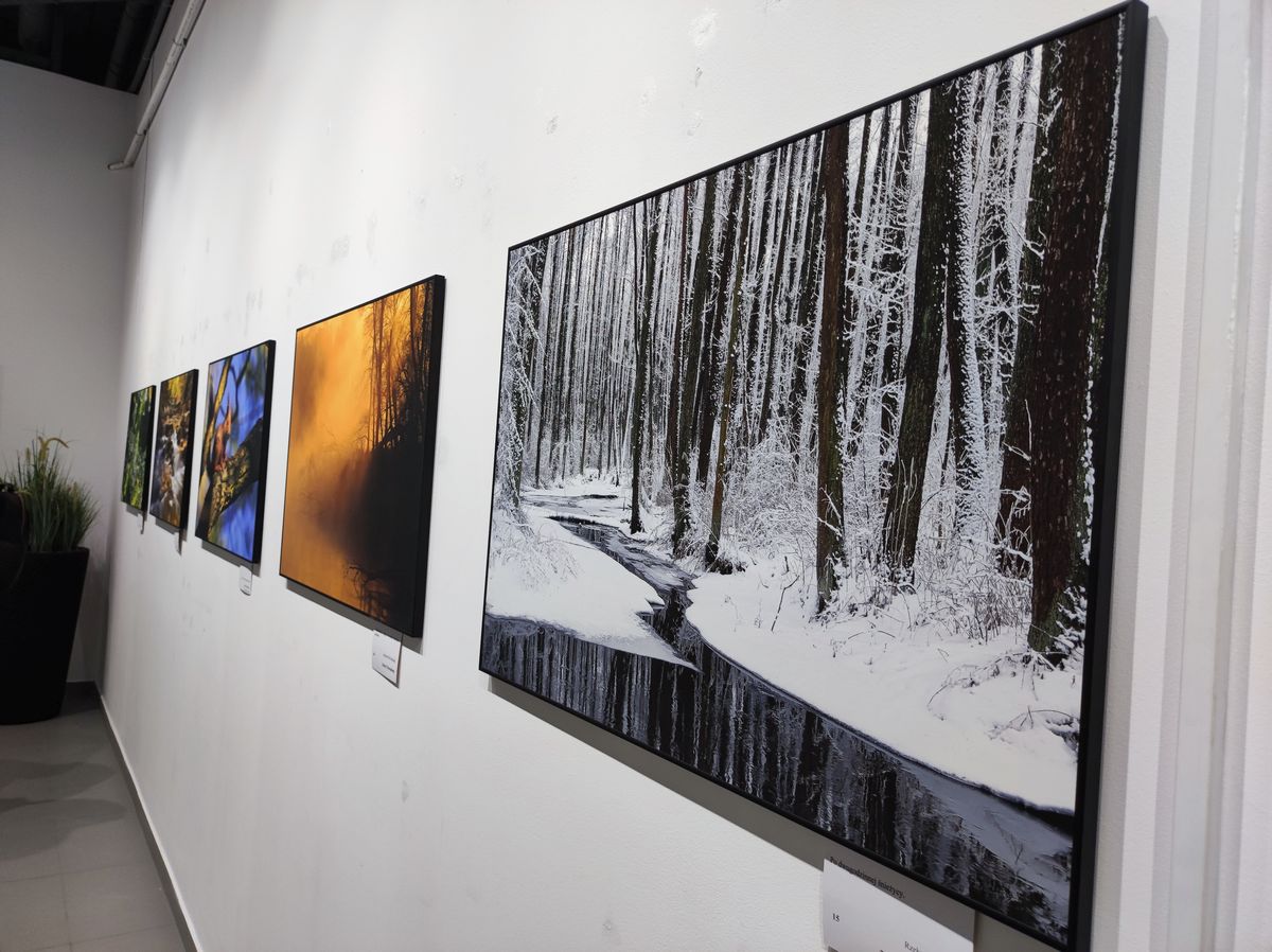 W Lublinie otwarto dzisiaj Galerię Fotografii Przyrodniczej. Będzie czynna przez dwa miesiące (zdjęcia)