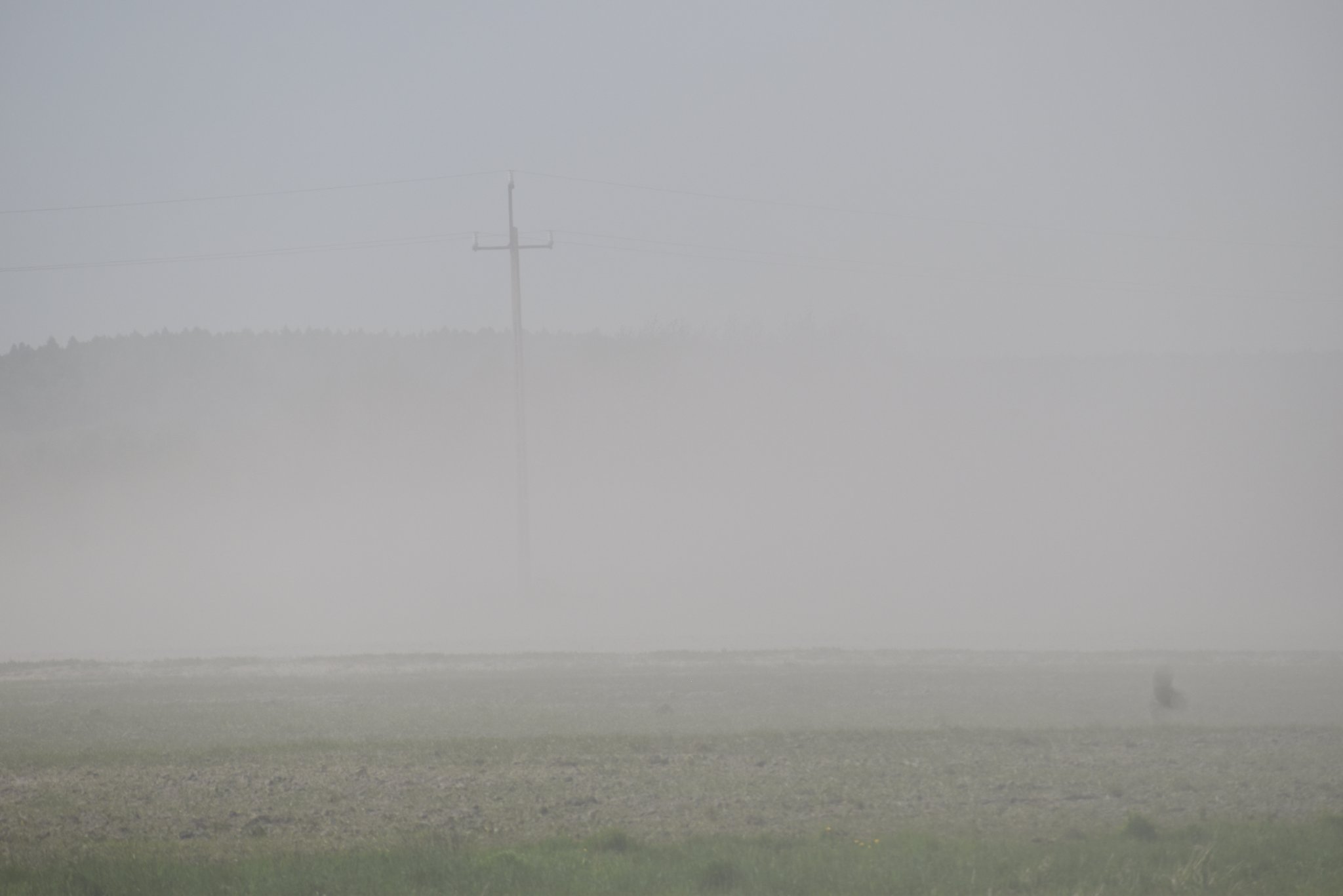 Wysuszona gleba i silny wiatr powodują w regionie zamiecie pyłowe (zdjęcia)