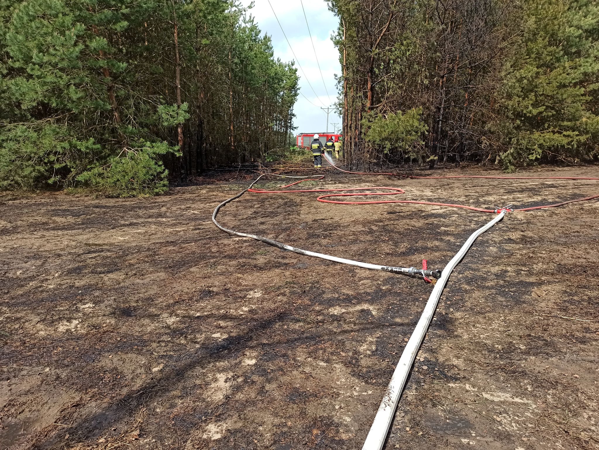 Silny wiatr daje się we znaki strażakom. Doszło do pożaru lasu oraz zatarasowania torów kolejowych (zdjęcia)